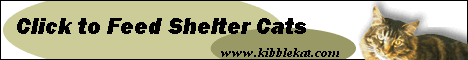 Kibble Kat - feed shelter cats