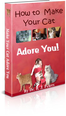 cat ebook