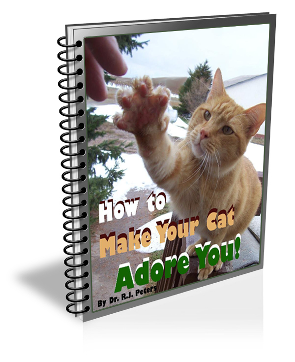 cat ebook